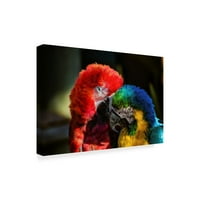Zaštitni znak likovne umjetnosti 'Šareni Macaw par' platno umjetnost Pixie Pics