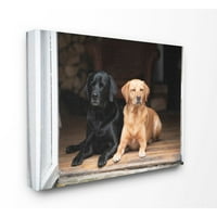 Stupell Industries najbolji prijatelji pse kućne ljubimce kuće kabina fotografija super platna zidna umjetnost seljaka Jim