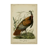 Zaštitni znak likovne umjetnosti Audubon divlja puretina ulje na platnu Johna Jamesa Audubona