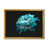 Designart 'Izbliza bijelog i čisto plavog cvijeta Daisy II' Tradicionalni uokvireni umjetnički tisak