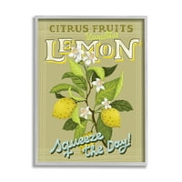 Stupell Industries Vintage Citrus Fruits limun Stisnite Dan fraza, 30, Dizajn Andrea Jasid Grassi