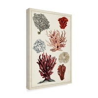 Zaštitni znak likovne umjetnosti 'Antički koraljni studij I' Canvas Art by Naomi McCavitt